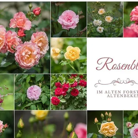 Kutscherstube * Altenbeken