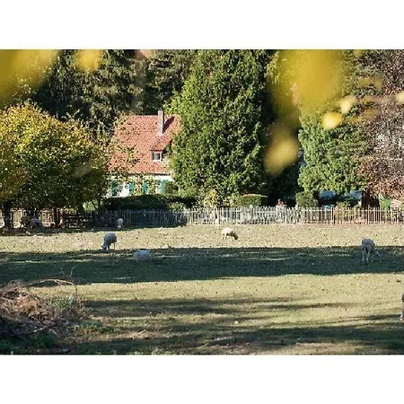 Kutscherstube Tatil Evi Altenbeken