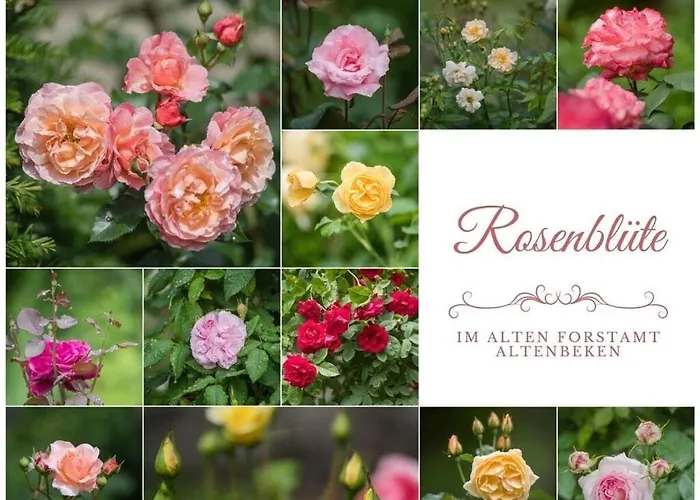 Kutscherstube * Altenbeken