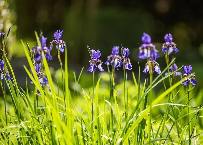 Kutscherstube Feriehus Altenbeken